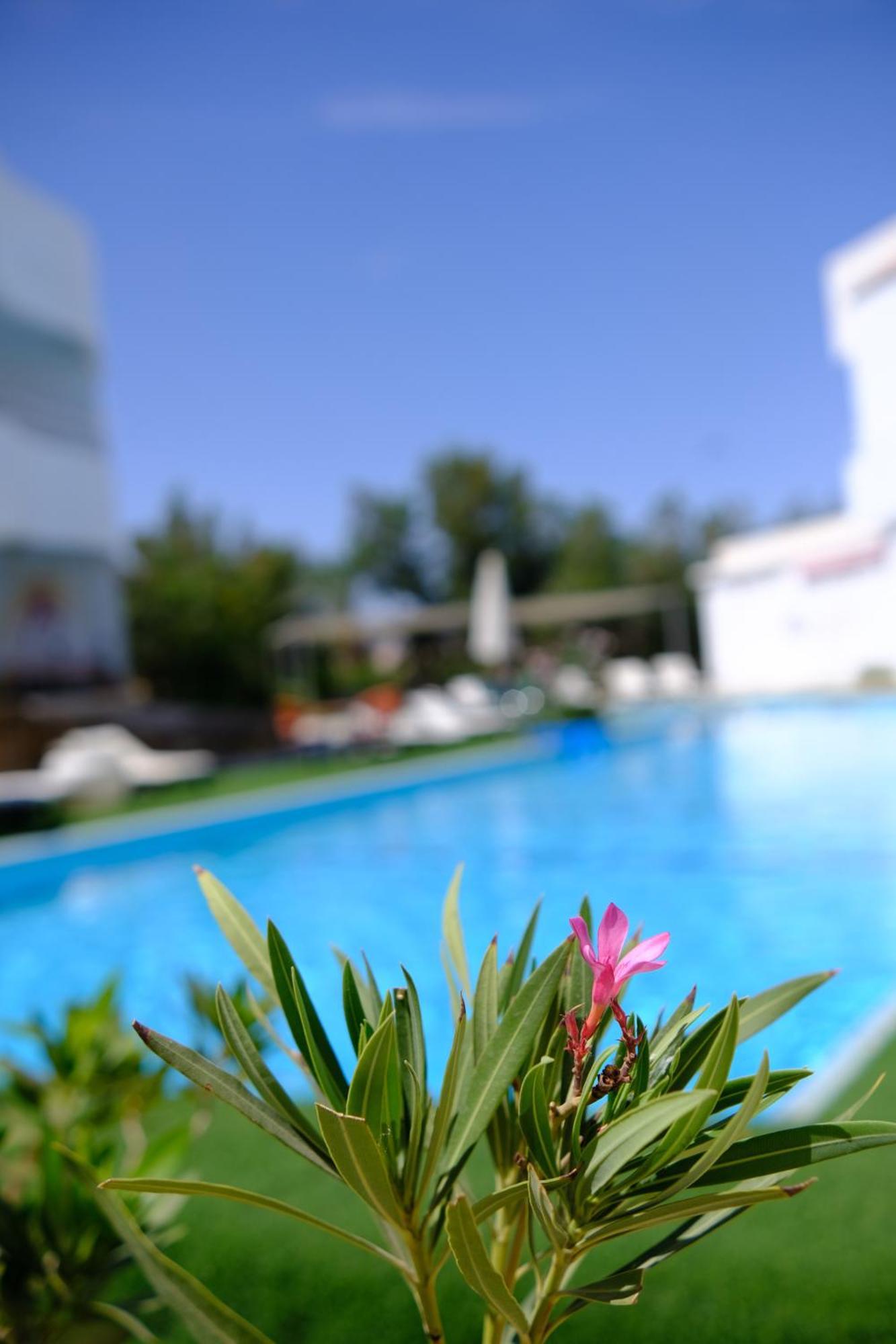 شرم الشيخ Viking Club Hotel المظهر الخارجي الصورة