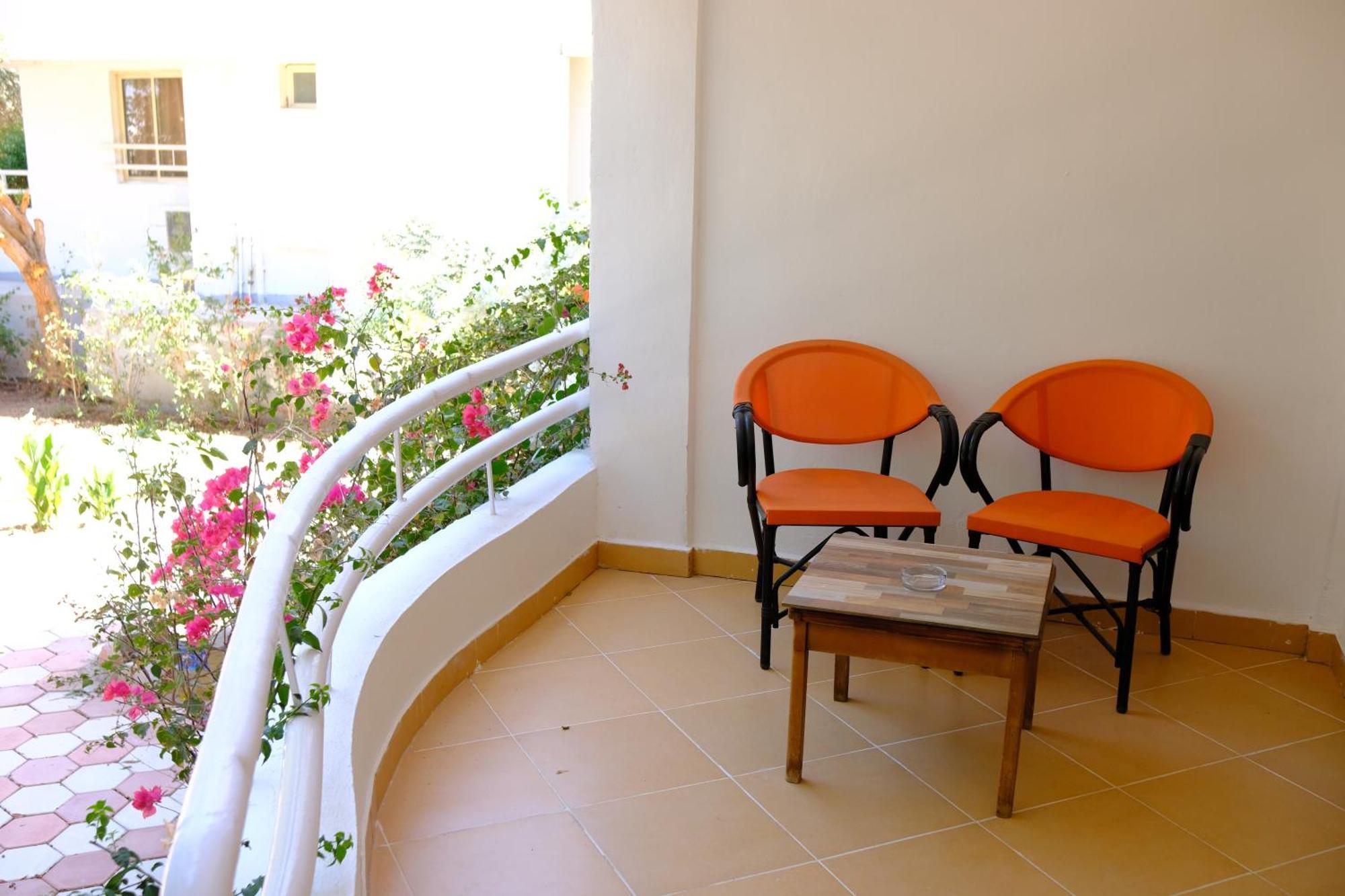 شرم الشيخ Viking Club Hotel المظهر الخارجي الصورة